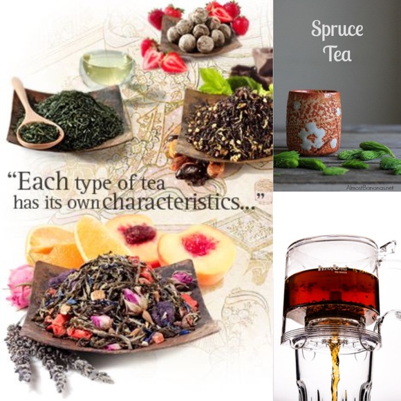 HandyBrew Tea Infuser Tea Steeper for Make Loose Leaf Tea Hot and Iced, 17 Ounce - Picture 7 of 12